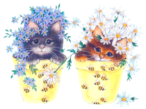 chatons noirs et bruns cachés dans pots de fleurs
