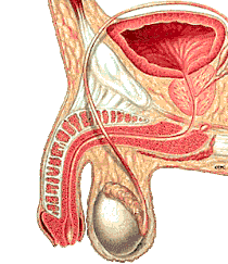 Resezione anteriore per cancro del retto - Dott. Ganio Ezio