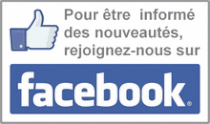 Facebook Snes-FSU Lille