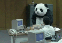 Google Update: Panda 4.0 sorgt für Chaos