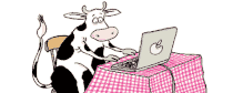 Vache qui pianote à l'ordinateur