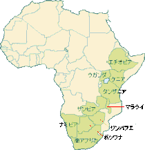 撮影の頻度が多いアフリカ諸国