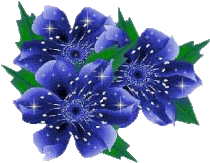 image.gif