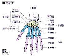 手の疾患