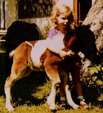 Mein erstes eigenes Pony "Fleur"