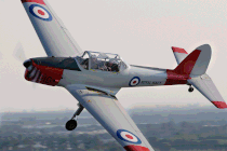 Bild der Tiger Moth