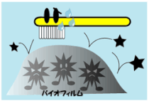 バイオフィルム