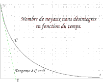 Courbe de décroissance d'une population de noyaux radioactifs en fonction du temps. N0 représente le nombre initial de noyaux radioactifs (à t=0).