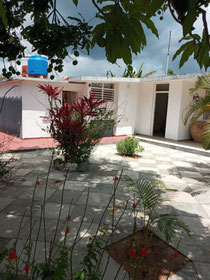 Jardin.