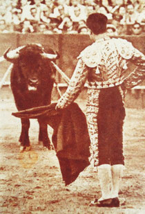Biografía, taurina, toreros, célebres, historia, siglo XIX, siglo XX, figuras, maestros, matador, torero, grandes figuras, escritores.  Pepe Luis Vázquez