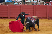 📸 Salva López Medina