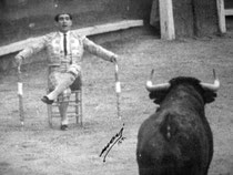 Biografía, taurina, toreros, célebres, historia, siglo XIX, siglo XX, figuras, maestros, matador, torero, grandes figuras, escritores.  Pepote Bienvenida