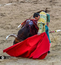 📸 Ivi Martín - El Rey Toro