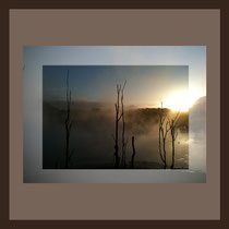 Die anderen Bilder
