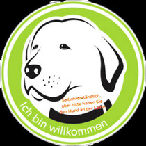 Aber an der Leine, vielen Dank. 🐕 #Hundeleben #Gassigehen