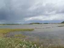 Tolle Landschaft - tolle Wolken - toller Tag!