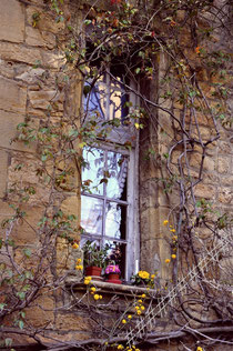 fenêtre à Sarlat