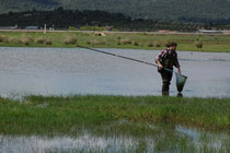 Mostrejant en una bassa