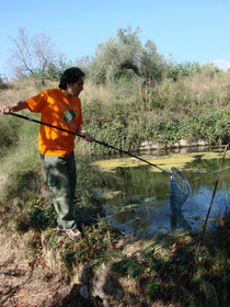 Fent el seguiment a la bassa