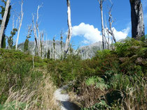 Le volcan Chaiten