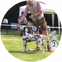 2.Platz (V2) Puppy Klasse