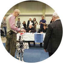 4.Platz Nationale Rassehundeausstellung Kassel