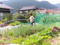 エンジンポンプで水を撒く農園主