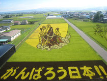 田舎館村の田んぼアート