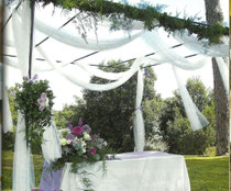 Matrimonio
