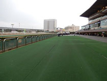 船橋競馬場,場内散歩その3