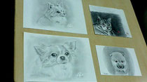 鉛筆画教室 Shokoyokota Pencil Drawing 鉛筆画教室 Shokoyokota Pencil Drawing