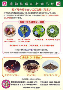植物防疫法をPRするリーフレット