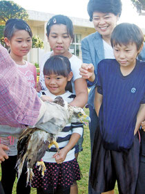 平久保小学校でカンムリワシの若鳥が放鳥された=22日午前、同校