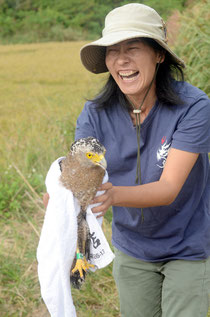 朝は鳥が活発に動く時間。体長50㌢ほどのカンムリワシを放つ渡久山さん。成鳥になっているものの雌雄は不明という=28日午前9時過ぎ、平得