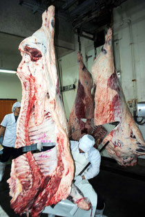 競り落とされた枝肉を解体する購買者=7日午前、八重山食肉センター