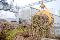 操業中の石垣島製糖(資料写真)