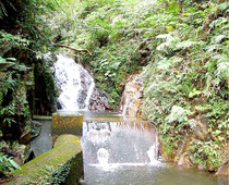 市は白水川の水を使った水道水で石垣島をPRする。写真は白水水源地(市提供)