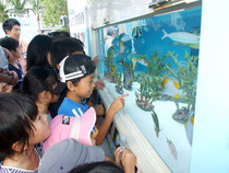 子どもたちは水槽の前で魚に釘付け=3日夕、市役所第2駐車場