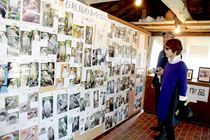カンムリワシ週間が始まった。「あやぱに写真展」を興味深げに見る観光客=1月31日午後、石垣やいま村
