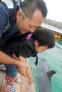 イルカとの触れ合いを楽しむ子ども=26日、新港地区のドルフィンファンタジー石垣島