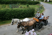 En calèche, vallée des Evoissons