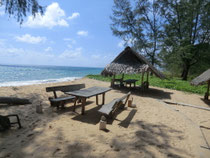 Thai & Seafood Restaurant
