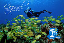 COZUMEL_AZUL_TRAVEL