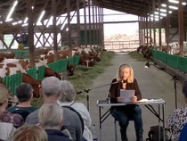 Autorenfestival - meine Lesung im Kuhstall Hof Morgenstern