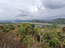 ganz schön dschungelig rund um den Mekong!