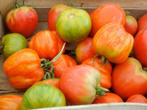 Tomaten "Green Zebra", "Ochsenherz", "Red Cavern"