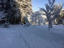 3月の雪景色