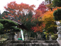 紅葉