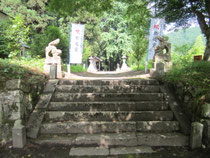 初夏の参道