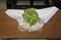3月12日収穫した蕗の薹